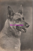Load image into Gallery viewer, Animals Postcard - Dogs, Bob The Alsatian, German Shepherd  SW14732
