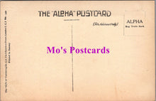 Load image into Gallery viewer, Animals Postcard - Dogs, Thistle The Terrier   SW14734
