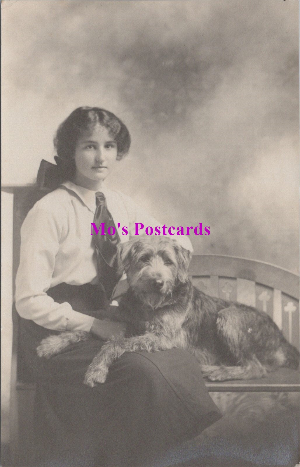 Animals Postcard - Dogs, Lady With Her Pet Dog  SW14736