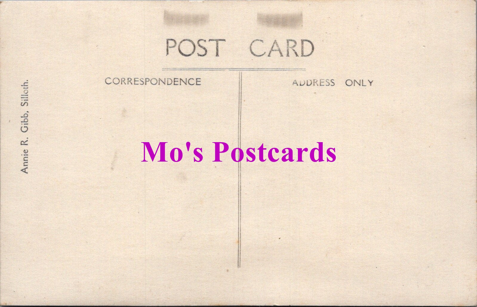 Animals Postcard - Dogs, Lady With Her Pet Dog  SW14736