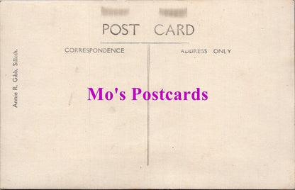 Animals Postcard - Dogs, Lady With Her Pet Dog  SW14736
