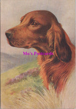 Load image into Gallery viewer, Animals Postcard - Dogs, The Irish Setter  SW14737
