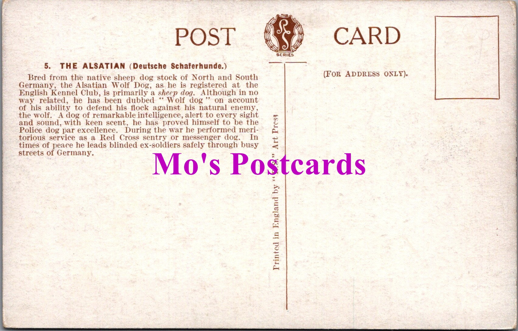 Animals Postcard - Dogs, The Alsatian, German Shepherd  SW14738