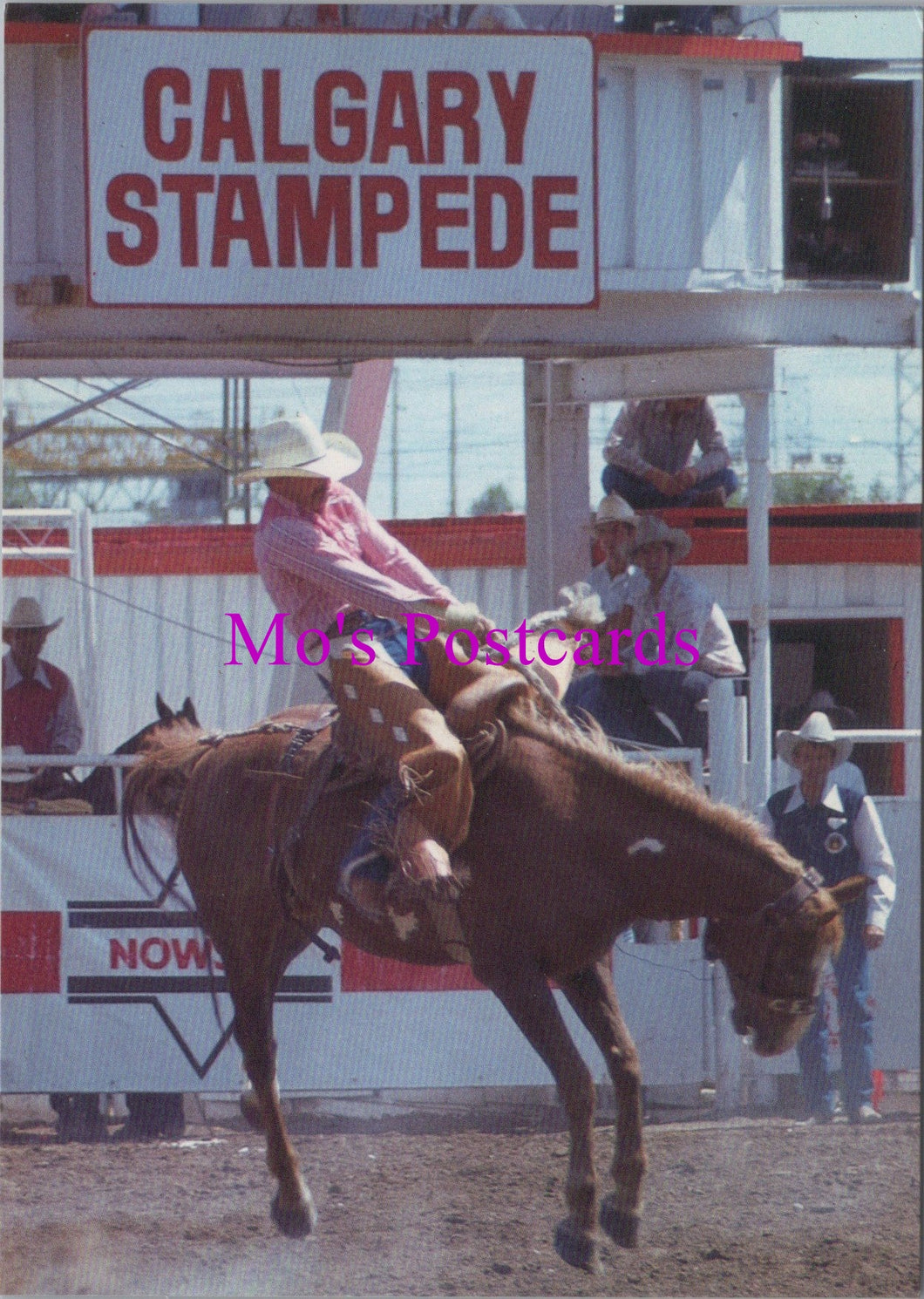 Canada Postcard - The Calgary Stampede  SW15448