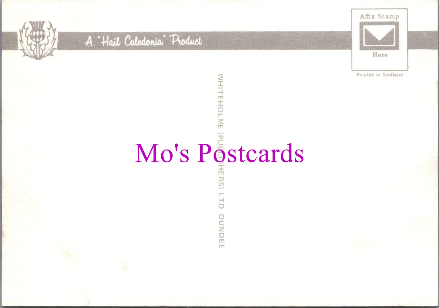 Animals Postcard - Black Faced Sheep of The Western Highlands  SW14308