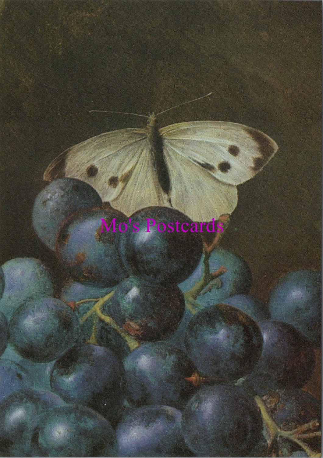 Art Postcard - Jan Van Huijsum, Flowers in a Terracotta Vase SW14318