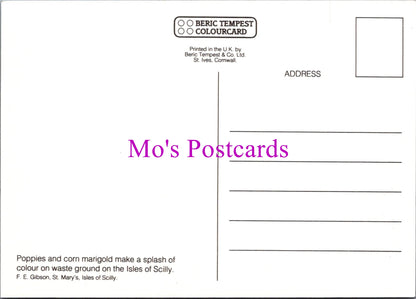 Flowers Postcard - Poppies & Corn Marigold, Isles of Scilly  SW14322