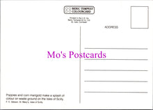 Load image into Gallery viewer, Flowers Postcard - Poppies &amp; Corn Marigold, Isles of Scilly  SW14322
