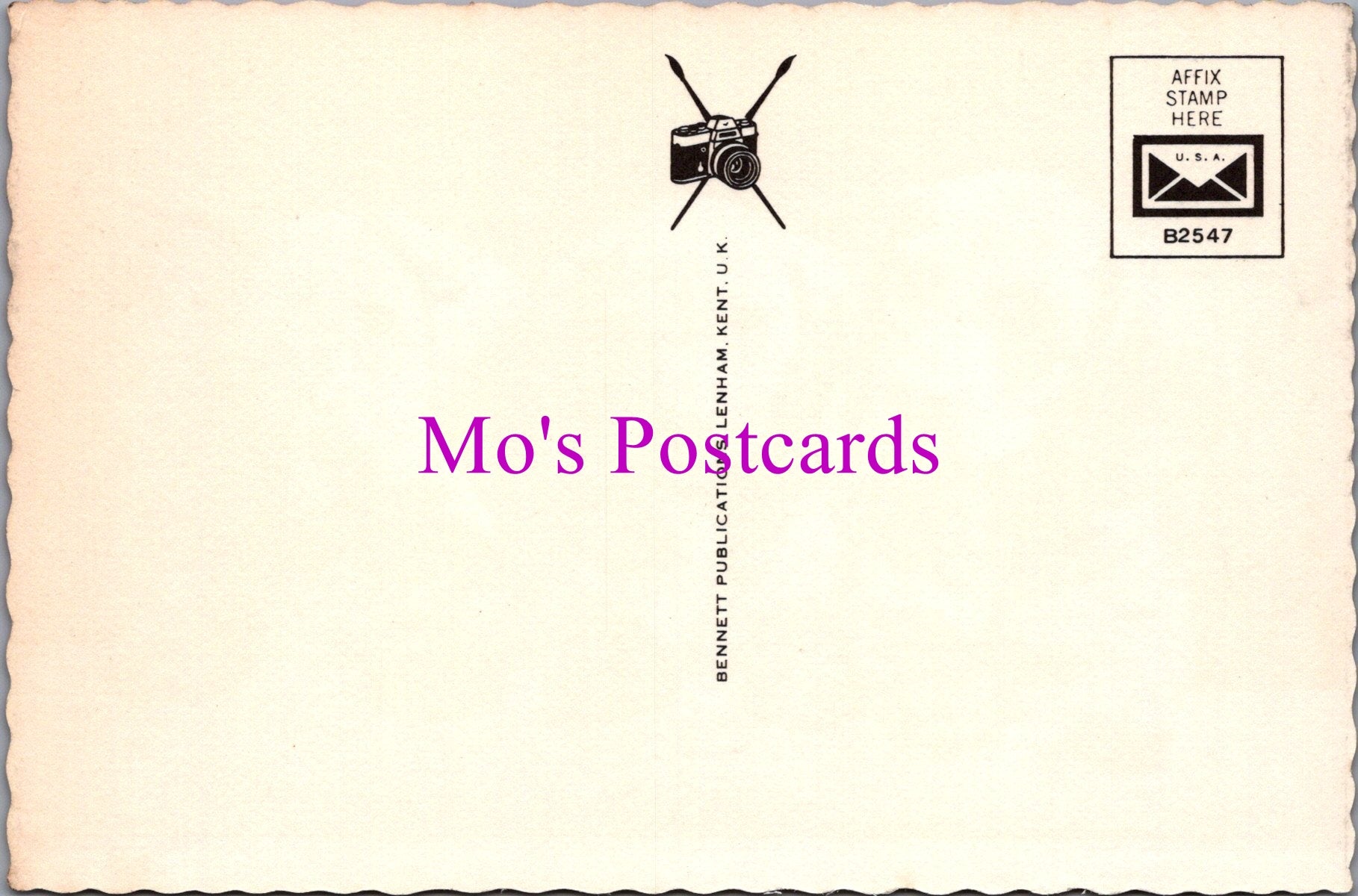 Animals Postcard - Three Dachshund Pups  SW14324