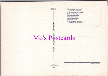 Animals Postcard - A Beautiful Collie Dog   SW14325