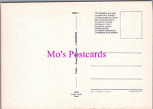 Load image into Gallery viewer, Animals Postcard - A Beautiful Collie Dog   SW14325
