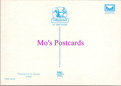 Animals Postcard - British Wild Animals, The Otter  SW14336