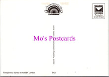 Load image into Gallery viewer, Animals Postcard - Two Cute Dogs With Blue Hair Bows  SW14352
