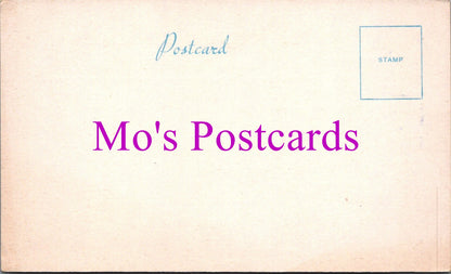 Politics Postcard - United Nations Association Branch  DZ97