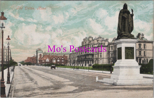 Sussex Postcard - The Drive, Hove    DZ110