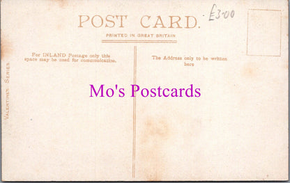 Sussex Postcard - The Drive, Hove    DZ110