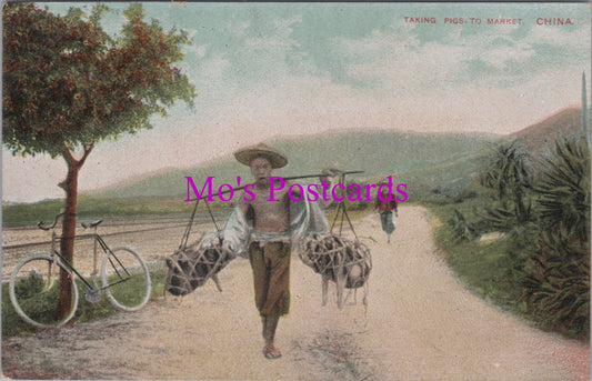China Postcard - Taking Pigs To Market  DZ131