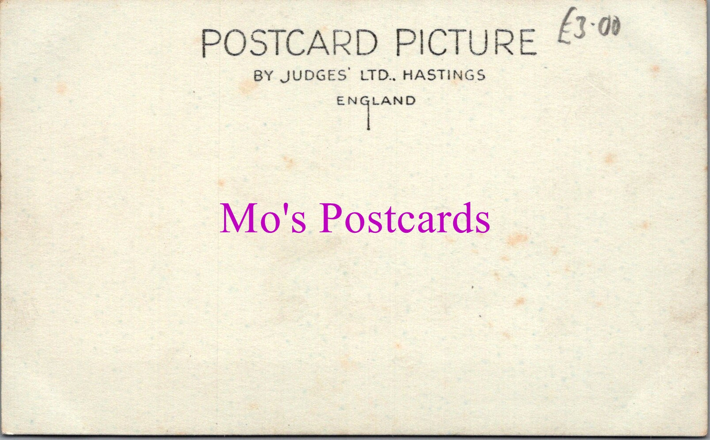 Surrey Postcard - Abinger Hammer Village  DZ162
