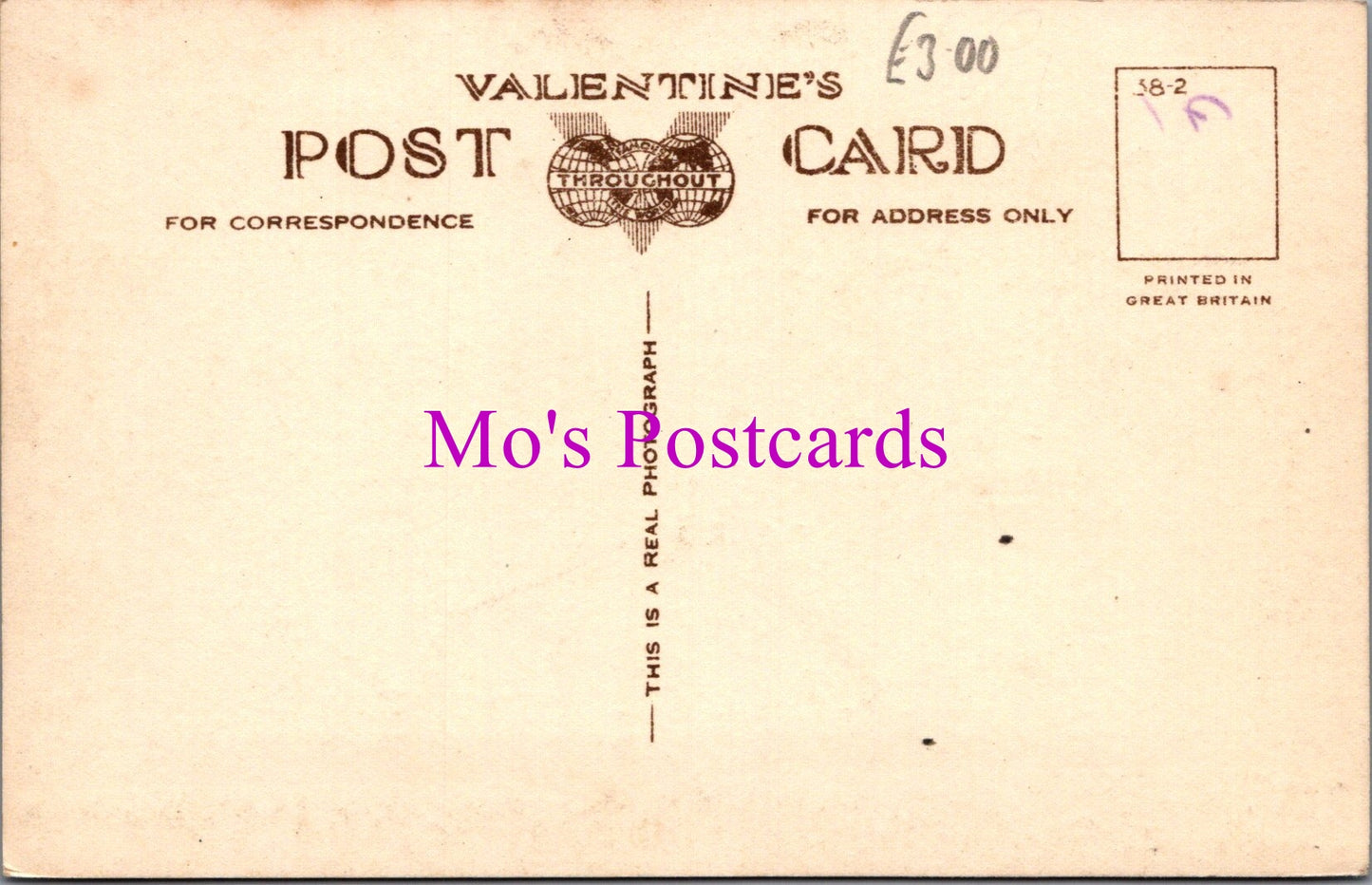 Somerset Postcard - Newton House, Yeovil  DZ163
