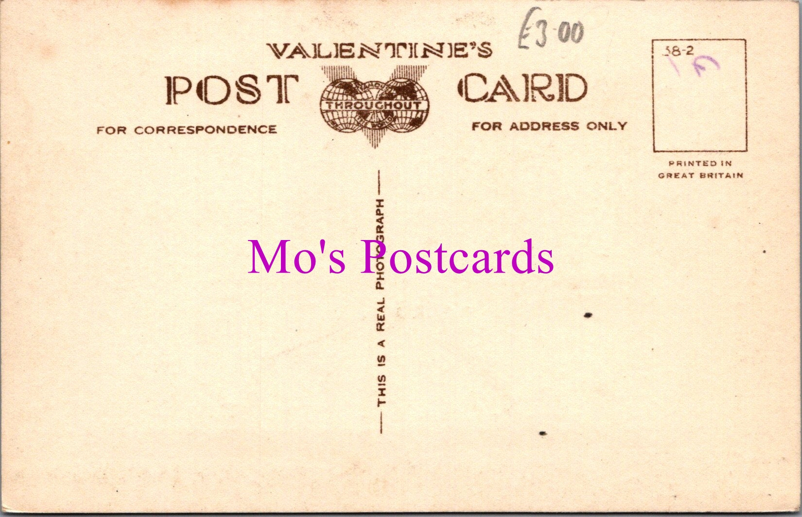 Somerset Postcard - Newton House, Yeovil  DZ163