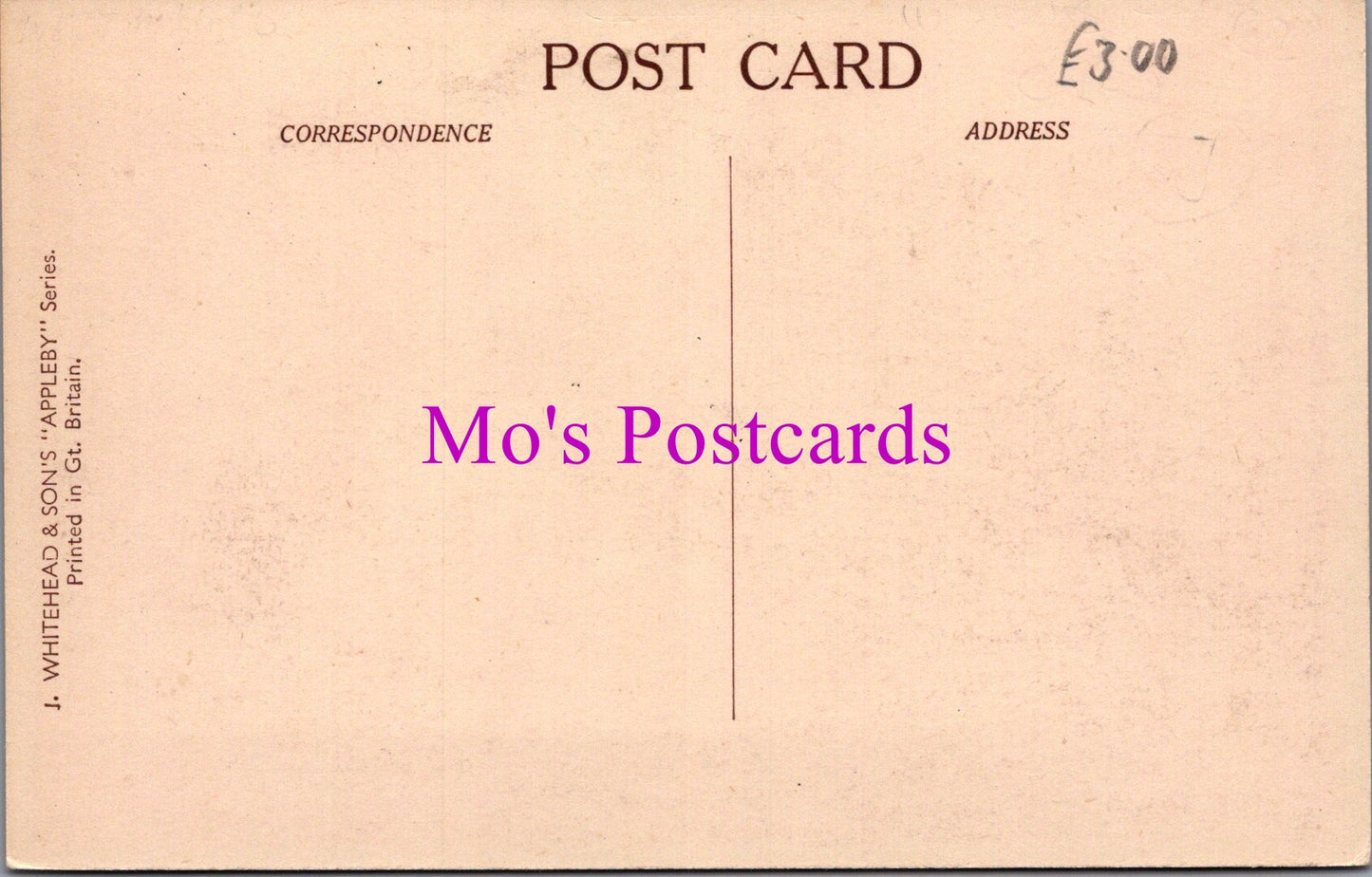 Cumbria Postcard - Tufton Arms Hotel and Low Cross, Appleby   DZ164