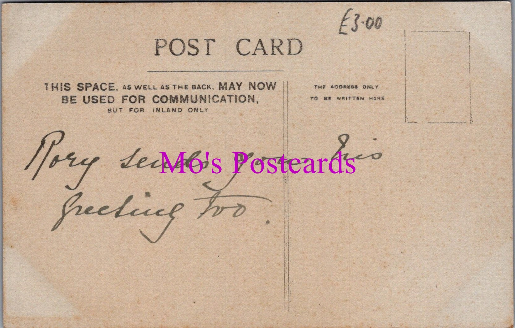 Animals Postcard - Pet Dog Called Rory  DZ334