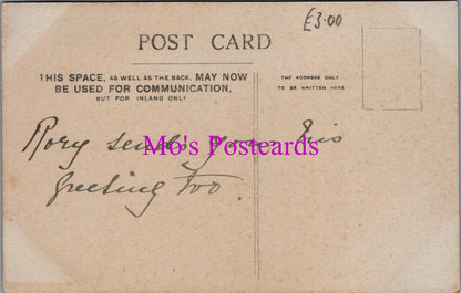 Animals Postcard - Pet Dog Called Rory  DZ334