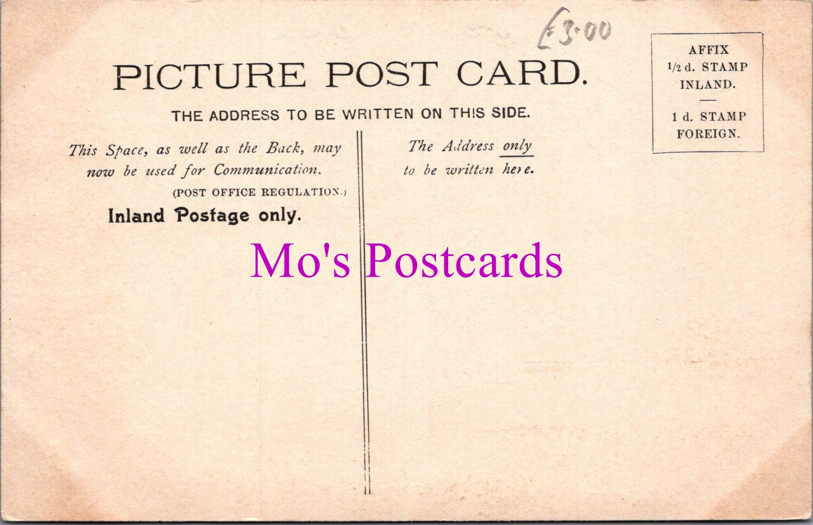Animals Postcard - Two Chimpanzees in a Zoo  DZ335