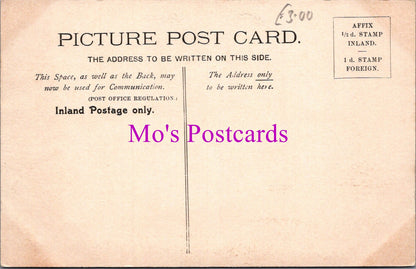 Animals Postcard - Two Chimpanzees in a Zoo  DZ335