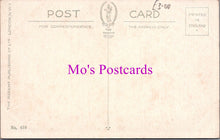 Load image into Gallery viewer, Animal Postcard - Dogs, Five Cute Puppies    DZ337
