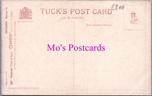 Load image into Gallery viewer, Animal Postcard - Catland, Three Cats Playing   DZ338
