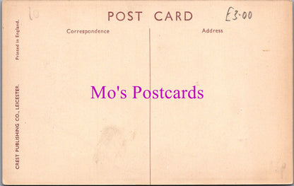 Animals Postcard - Dogs, Terrier, Oliver Twist   DZ341