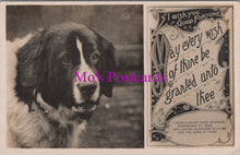 Load image into Gallery viewer, Animals Postcard - Dogs, St Bernard, I Wish You Good Fortune    DZ349
