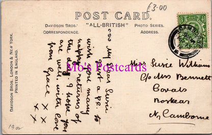 Animals Postcard - Dogs, St Bernard, I Wish You Good Fortune    DZ349