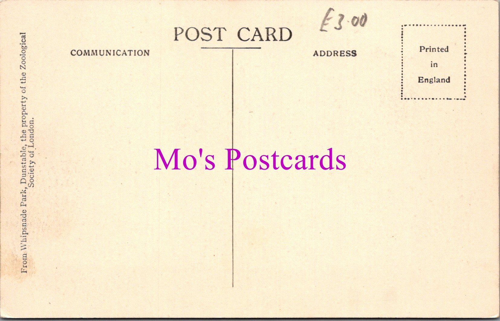 Animals Postcard - Flamingoes, Whipsnade Park DZ351