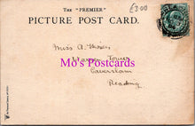 Load image into Gallery viewer, Animals Postcard - Pair of Donkeys at The Seaside   DZ352
