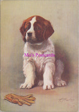 Load image into Gallery viewer, Animals Postcard - Dogs, The St Bernard  DZ353
