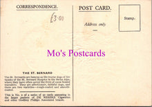 Load image into Gallery viewer, Animals Postcard - Dogs, The St Bernard  DZ353
