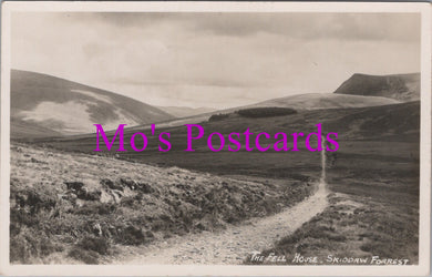Cumbria Postcard - The Fell House, Skiddaw Forrest, Keswick  HM41