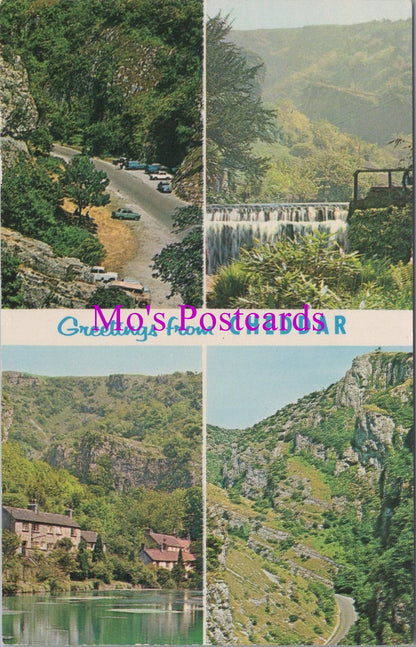 Somerset Postcard - Greetings From Cheddar  HM55