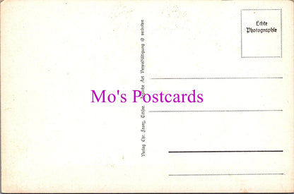 Germany Postcard - Schwarzwald Hollsteig, Hollental    SW14458 