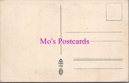 Germany Postcard - Oplauen, Schloss Reuschenberg SW14489