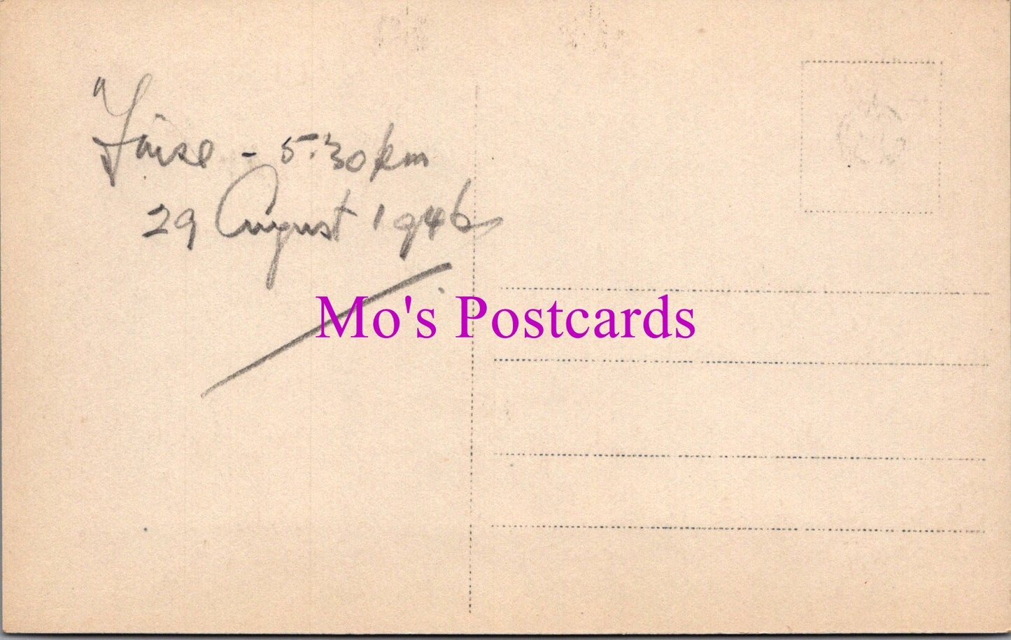 Norway Postcard - Reindeer, Finse, Vestland County SW14492