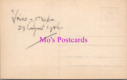 Norway Postcard - Reindeer, Finse, Vestland County SW14492