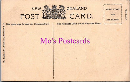 New Zealand Postcard - Ruakurl Caves, Waitomo  DZ264
