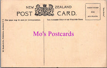Load image into Gallery viewer, New Zealand Postcard - Ruakurl Caves, Waitomo  DZ264
