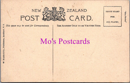 New Zealand Postcard - Ruakurl Caves, Waitomo  DZ269