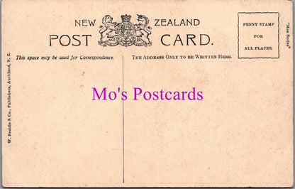New Zealand Postcard - Ruakurl Caves, Waitomo  DZ270