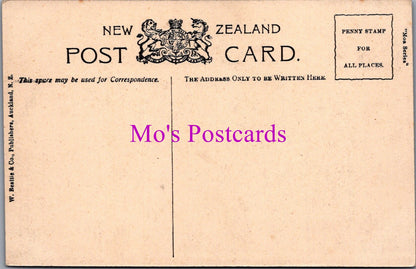 New Zealand Postcard - Ruakurl Caves, Waitomo  DZ271