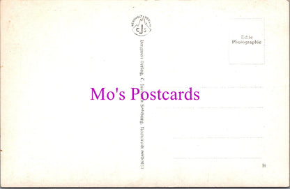 Austria Postcard - St Wolfgang Eingangzum Weissenrossl  DZ273